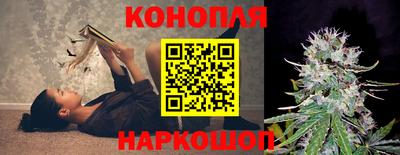 PSILOCYBIN Изобильный