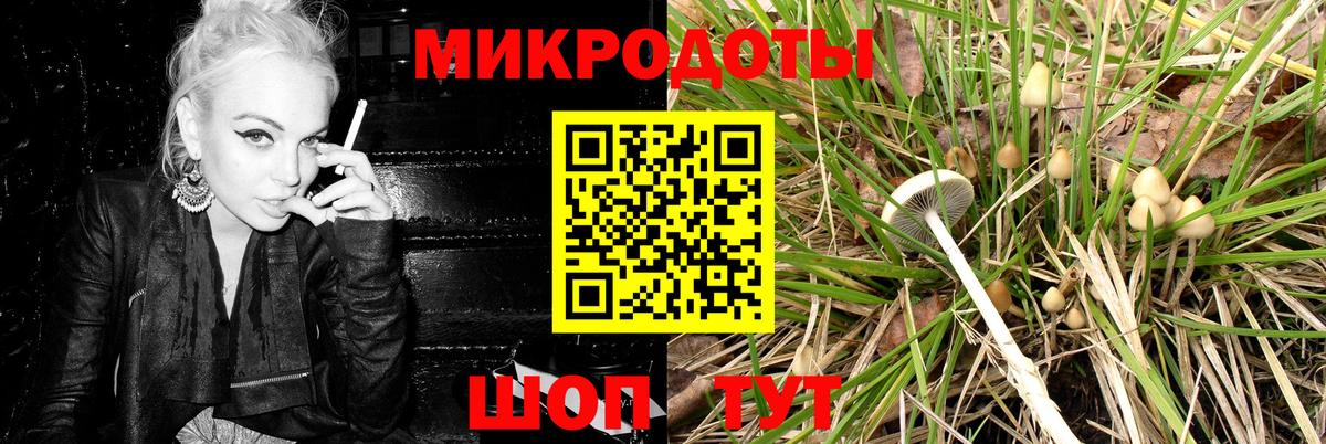 Псилоцибиновые грибы мухоморы Елец